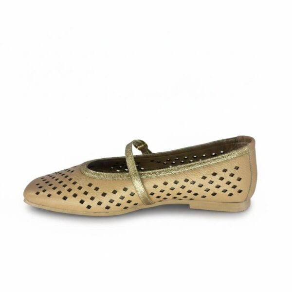 Baleta Dani Cuero Nude